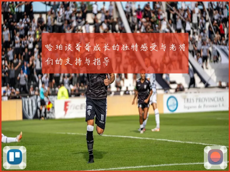 哈珀谈哥哥成长的独特感受与老将们的支持与指导